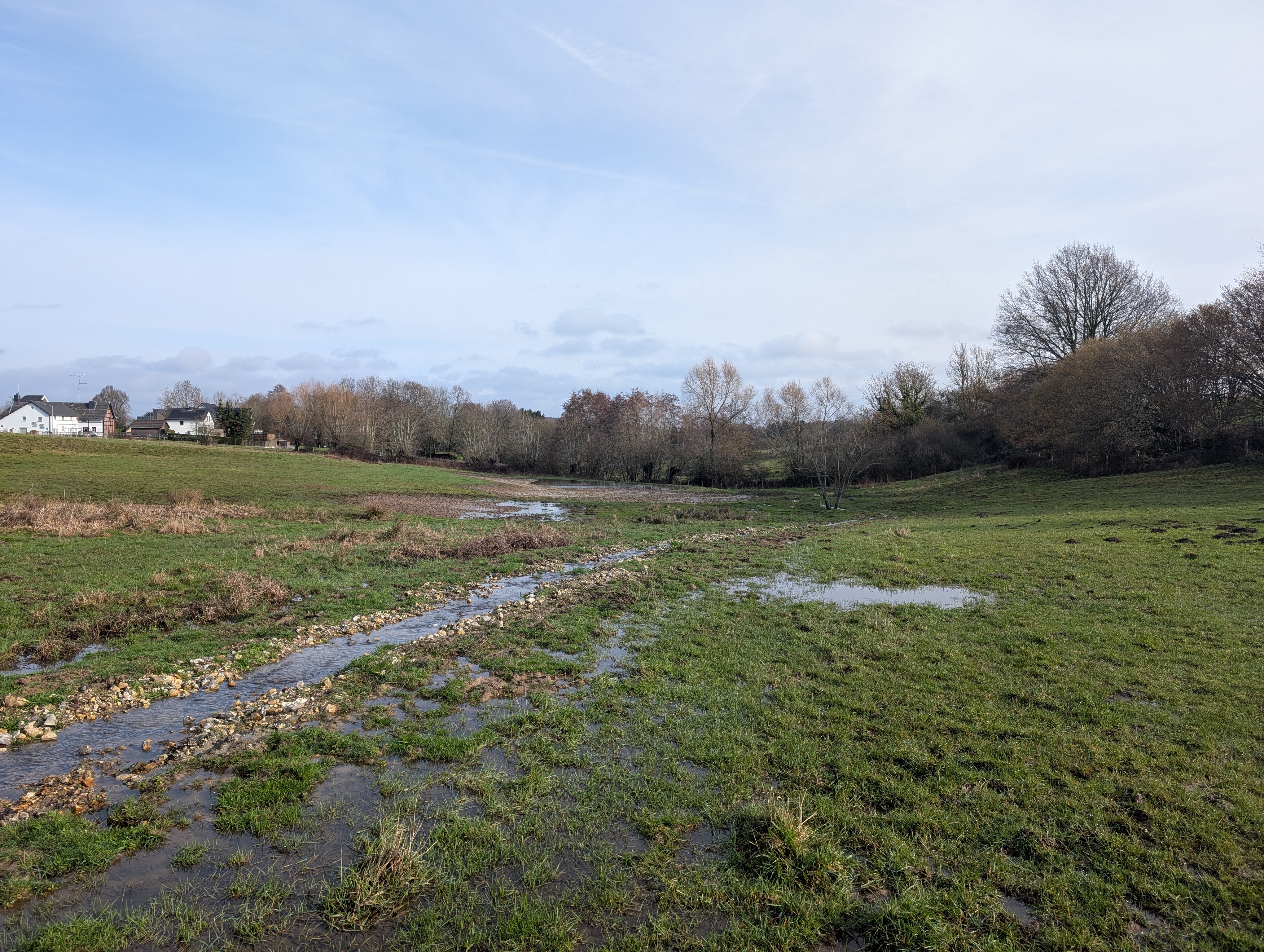 The "sponge field" close to Vaals, Image: Doornhof/CLEW