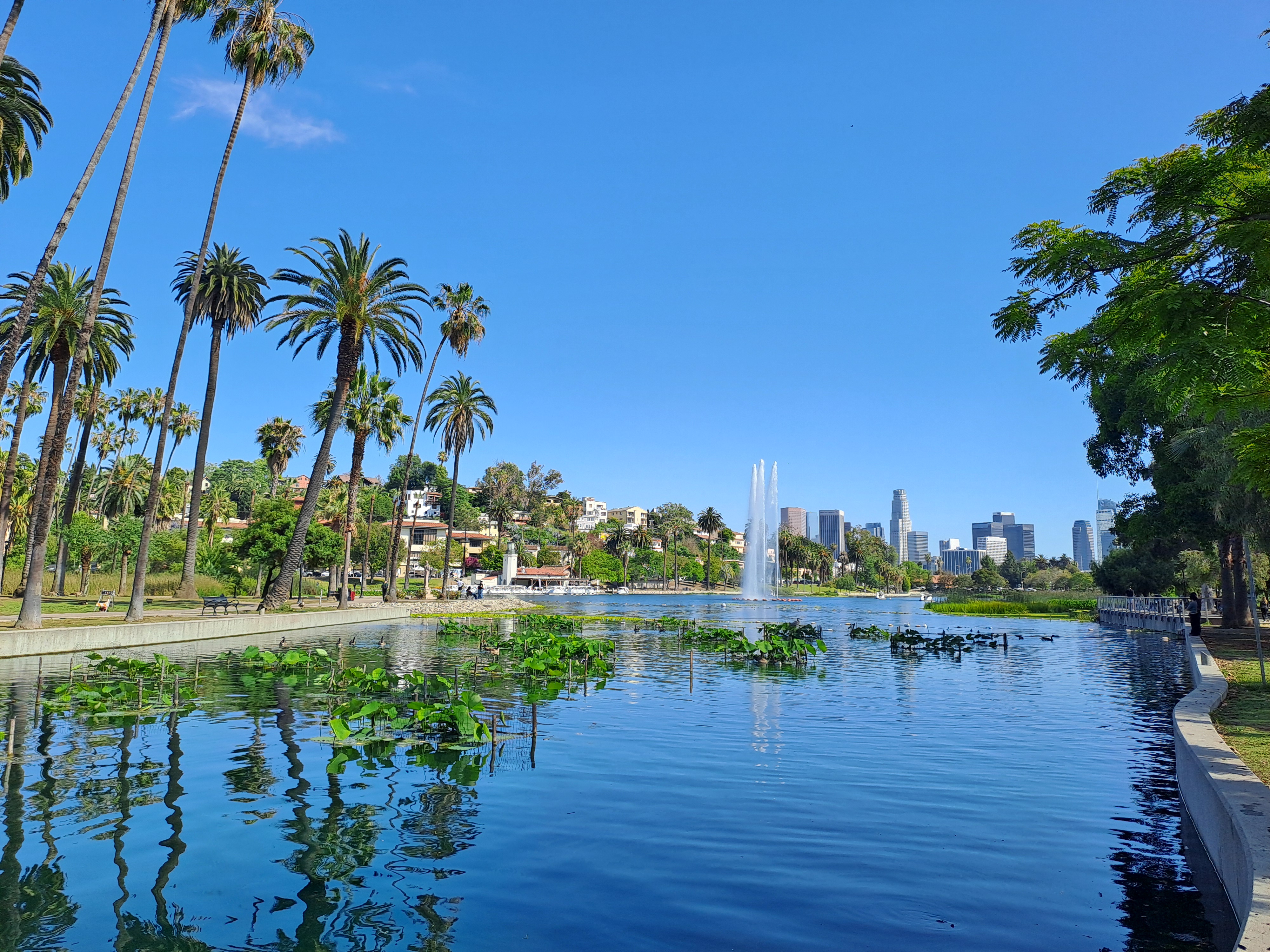 Los Angeles skyline as seen from Echo Park. Photo: Kyllmann/CLEW.