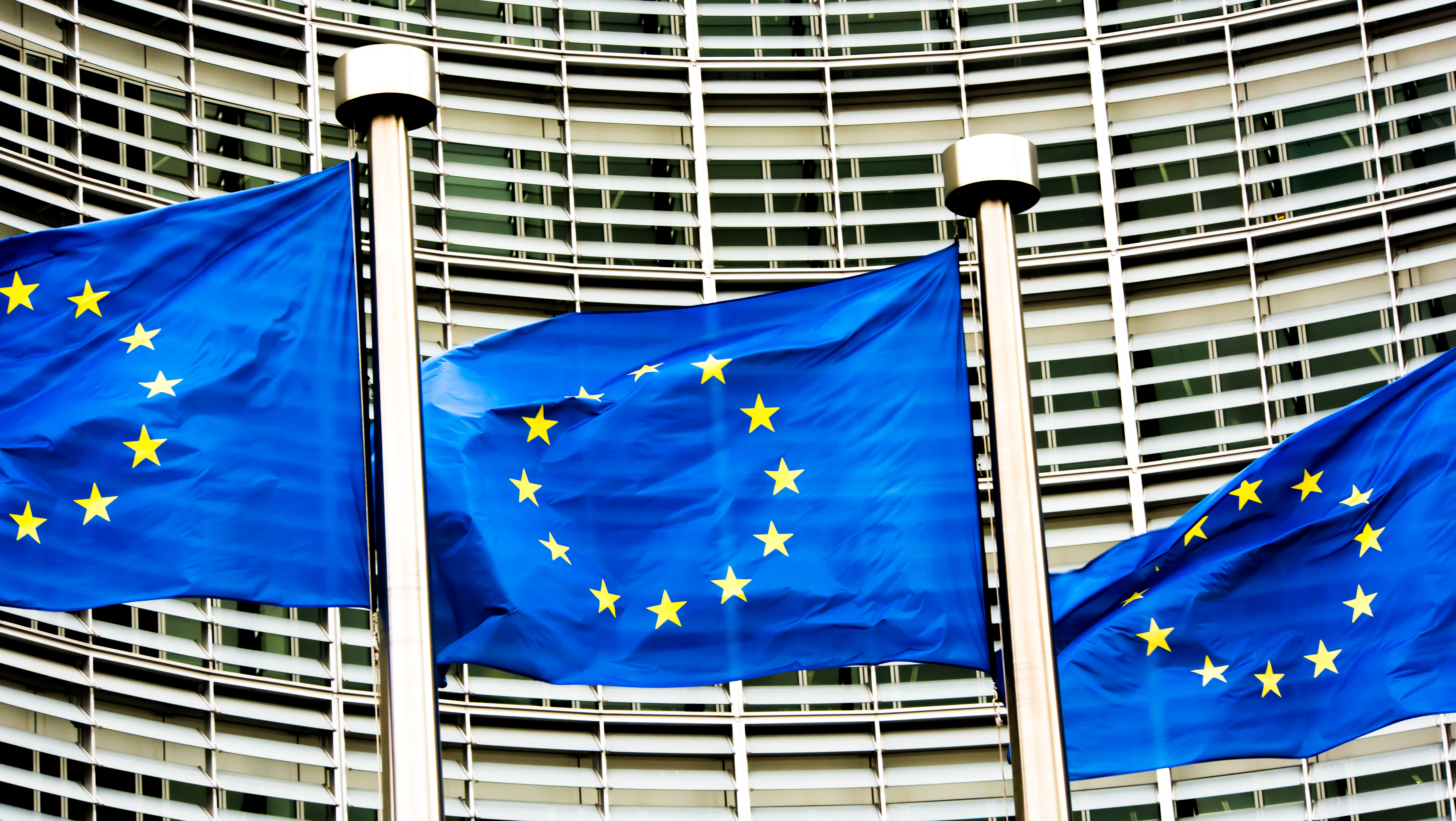 Photo shows EU flags. Source: European Union. 