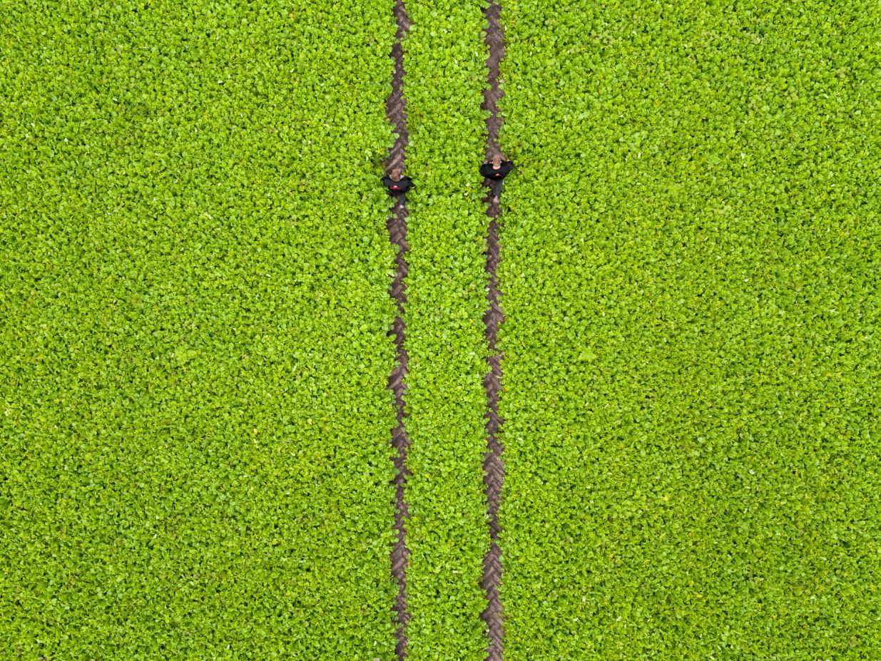 Het toekomstige klimaatbeleid in Nederland is onduidelijk na de verrassende verkiezingsoverwinning van extreemrechts