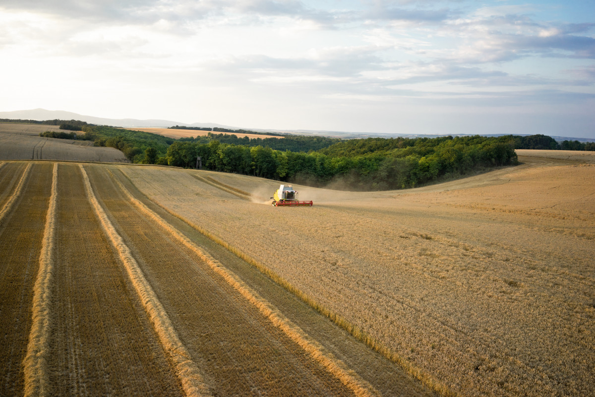 Photo shows field and farming machine. Source: Claas KGaA mbH. 