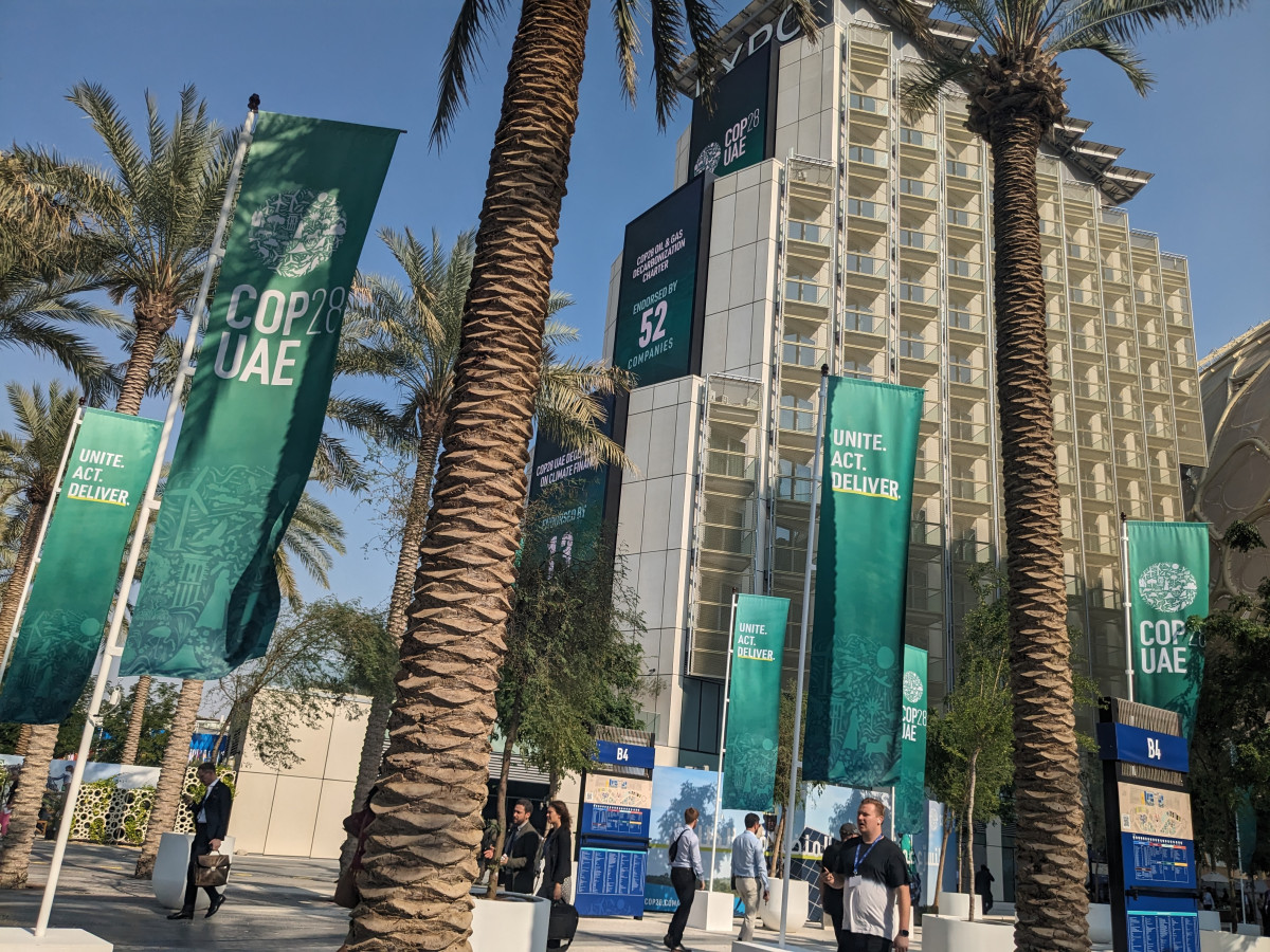 Photo shows flags and palms and buildings at the COP28 venue in Dubai. Photo: CLEW/Wettengel.