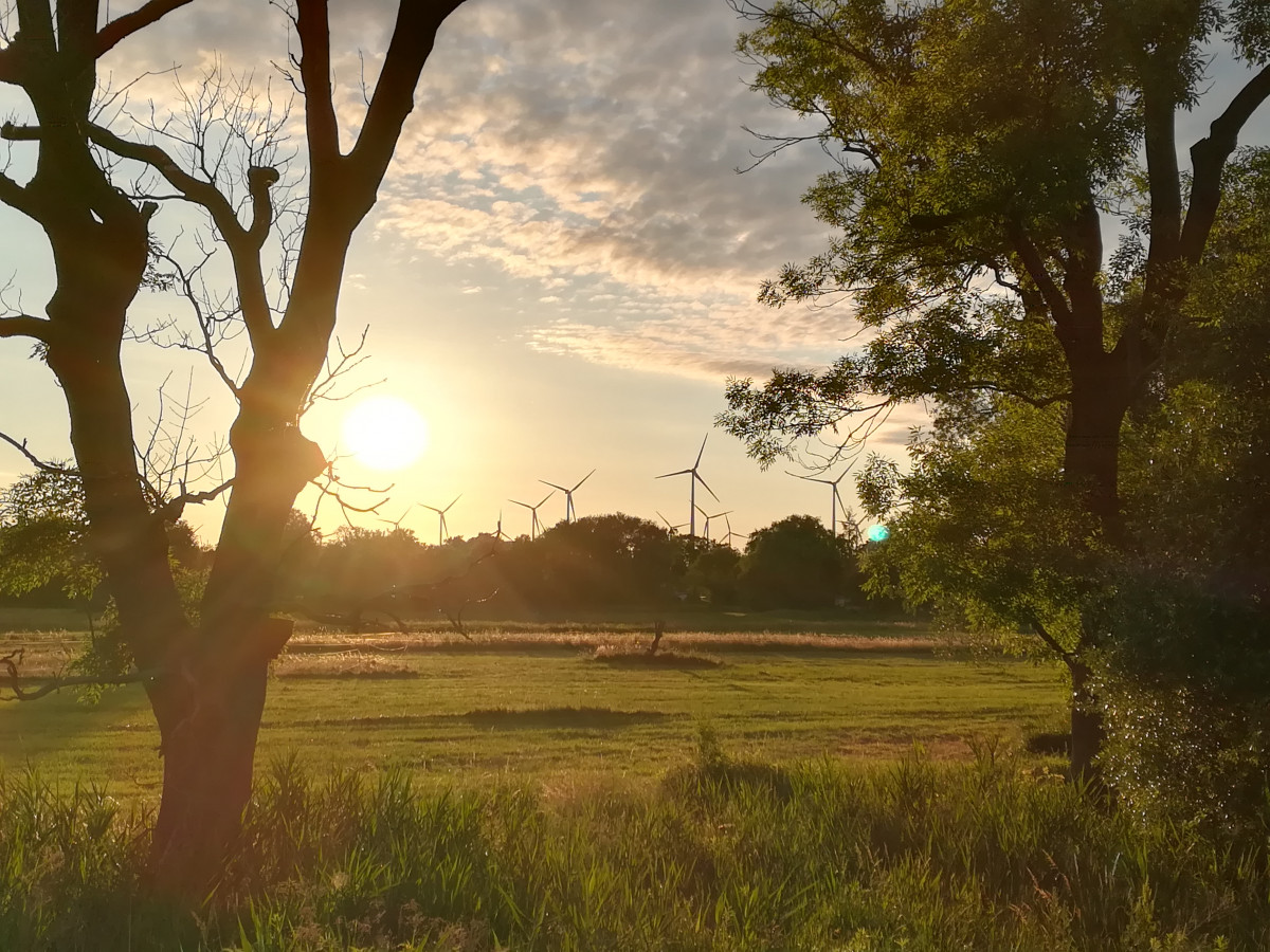 Photo shows wind turbines in Brandenburg, Germany in the sunset. Photo: CLEW/Wettengel 2020. 