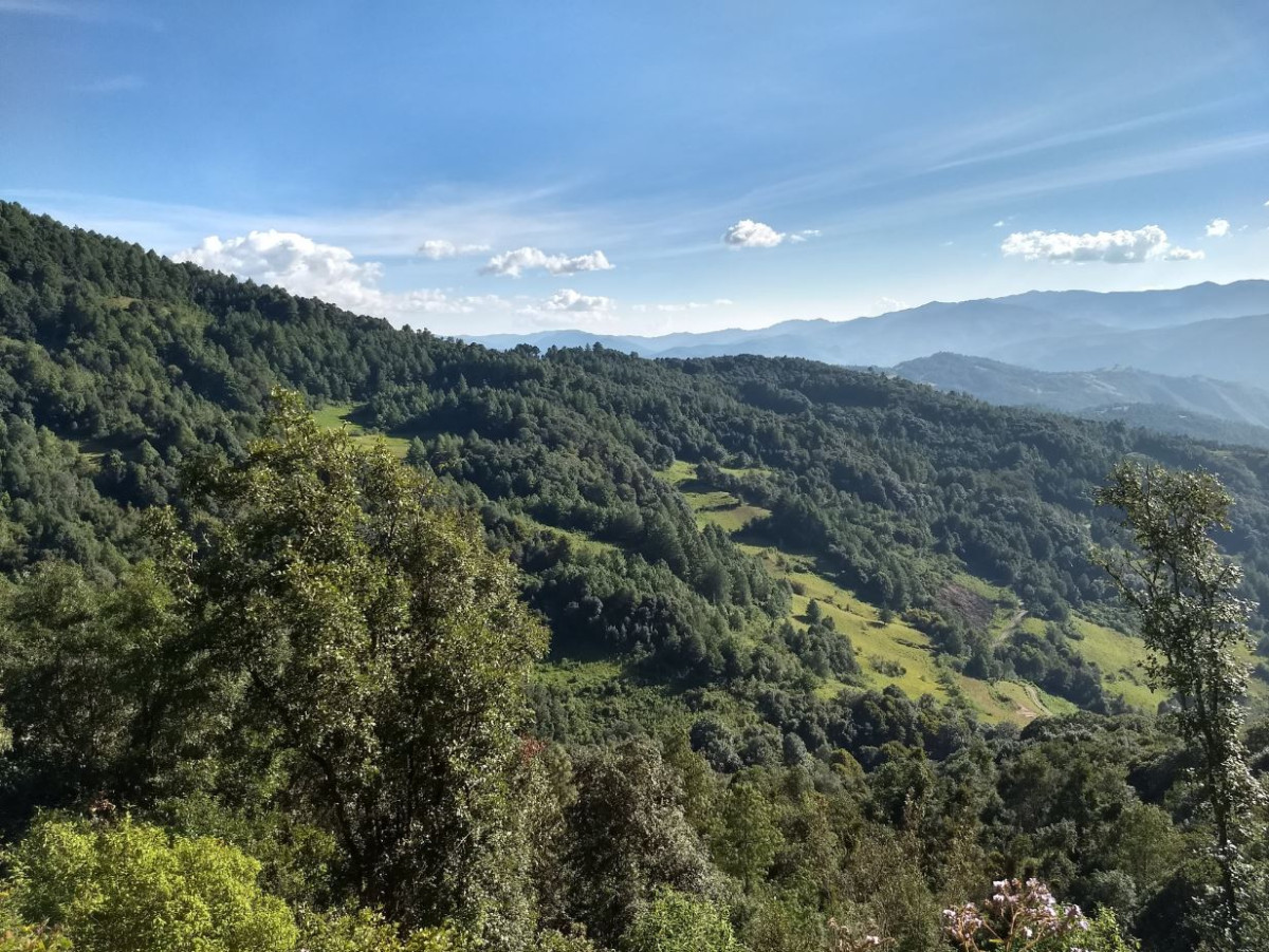 Forest offsetting projects are booming in Mexico, for example in the southern state of Oaxaca, but there are doubts about their climate impact and benefits for local communities. Image by Emilio Godoy