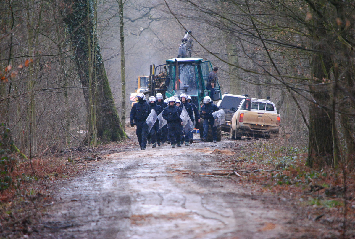 Police enter the Hambach Forest in 2017. Photo: hambacherforst.org