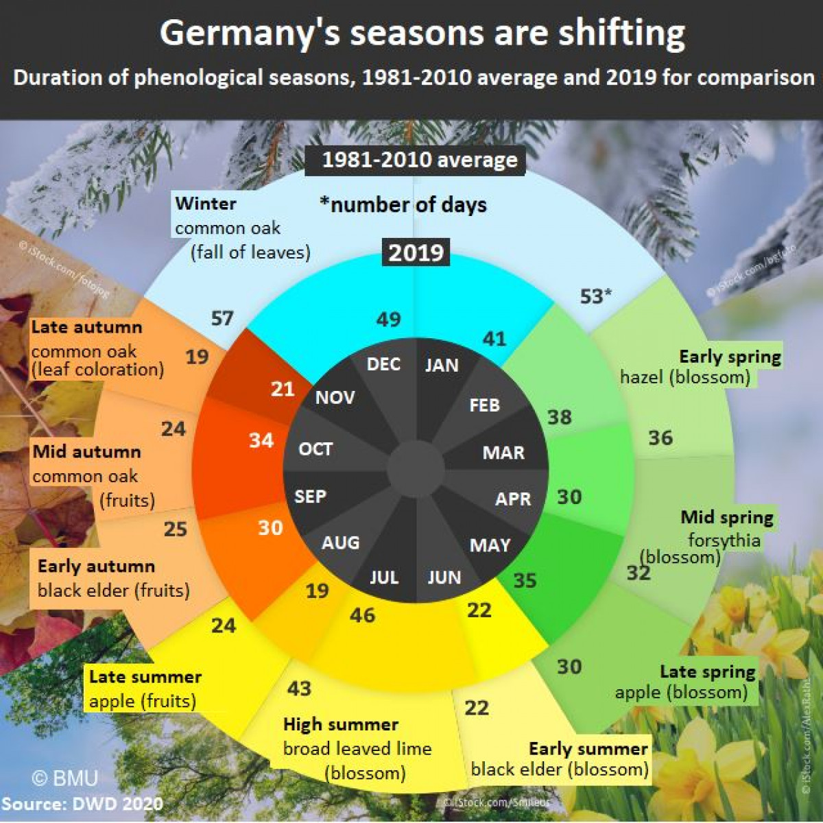Seasons in Germany shifting to shorter winters, earlier summers Clean