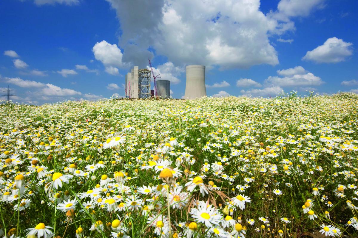 RWE's Neurath coal power plant, a major source of carbon emissions. Photo: RWE