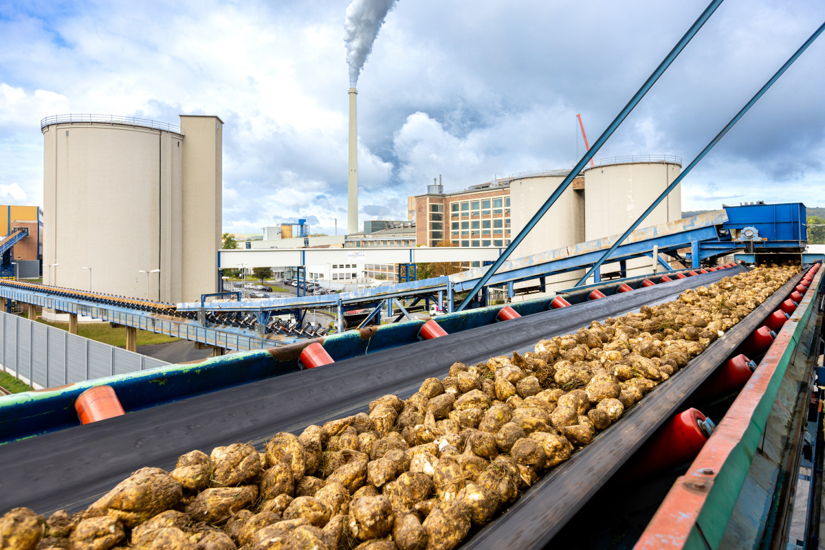 Photo shows sugar production unit by Südzucker. Photo: Benedikt Knüttel/Südzucker 