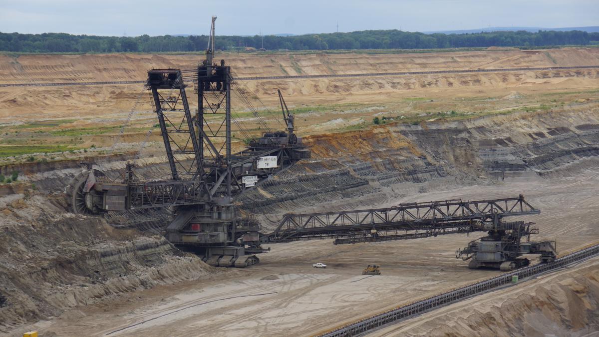 Most of Hambach Forest has already been cut down to make way for the nearby lignite mine. Photo: CLEW