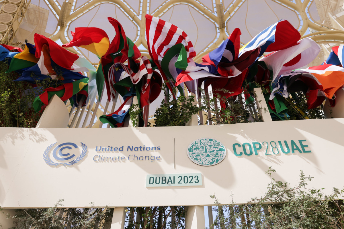 Photo shows country flags at COP28 in Dubai 2023. Photo: UN Climate Change / Christophe Viseux.