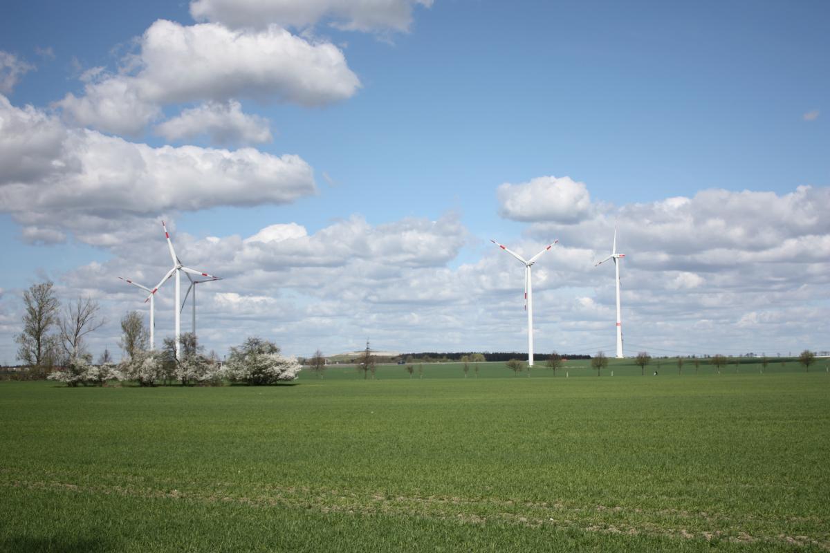 This is a photo of wind turbines in a field.