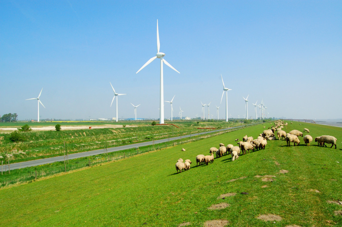 Picture shows a dike in East Frisia with windmills in the background.