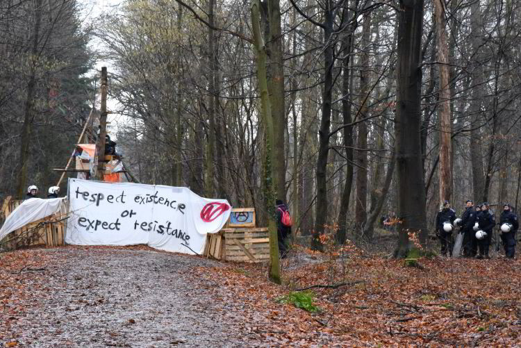  hambacherforst.org