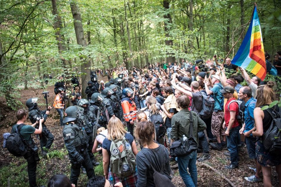  hambacherforst.org