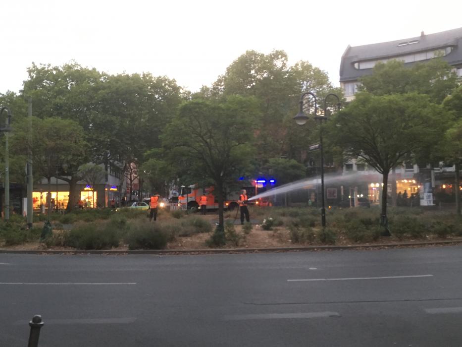 Firefighters in Frankfurt am Main water trees amid an exceptional drought and heat wave. Photo: CLEW