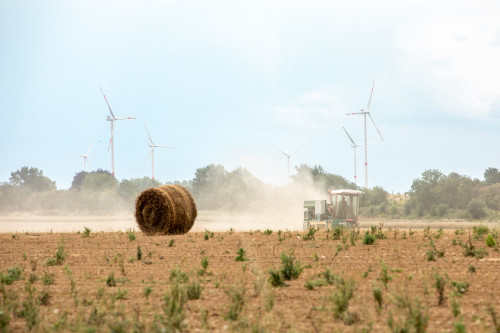Source: European Union. Photo shows a corn field shared with wind turbines in Belgium. Source: European Union.