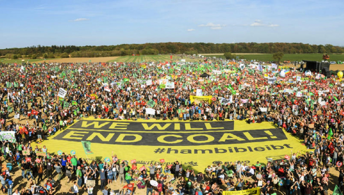 Anti-coal activists protesting against clearing of the Hambach Forest. Photo: Greenpeace 