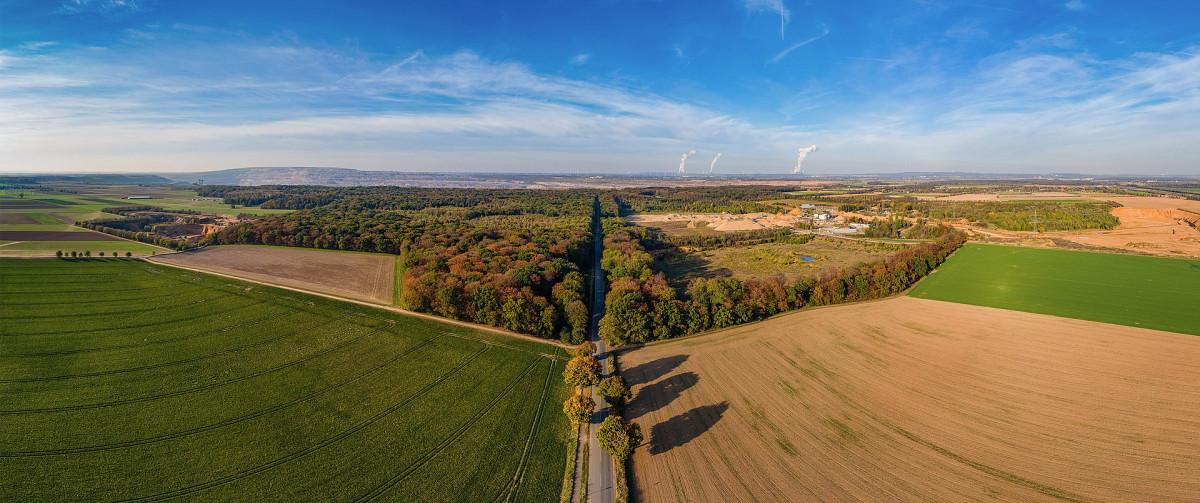 The embattled Hambach Forest in North Rhine-Westphalia will be spared but many nearby villages are going to be demolished. Photo: Arthur Konze / wiki