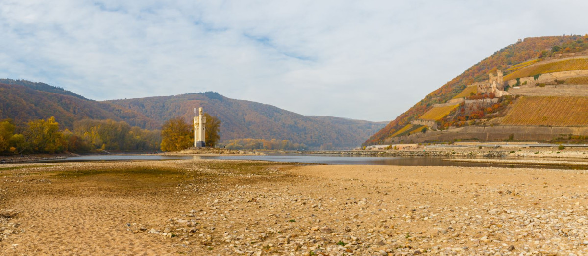 Low water levels on the Rhine have repeatedly constrained shipping. Image by AdobeStock
