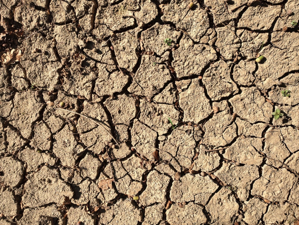 Drought in Italy in 2022. Photo by Rudi Bressa