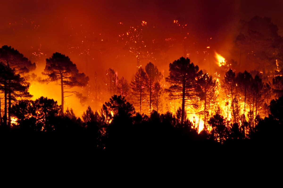 Forest fires, seen here in Guadalajara (Spain), are becoming increasingly common in Europe. Image by AdobeStock