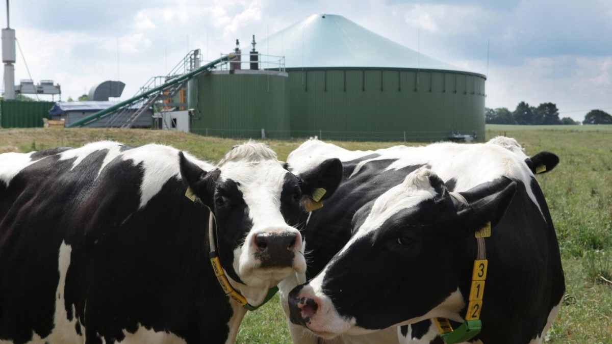 Photo: Fachverband Biogas