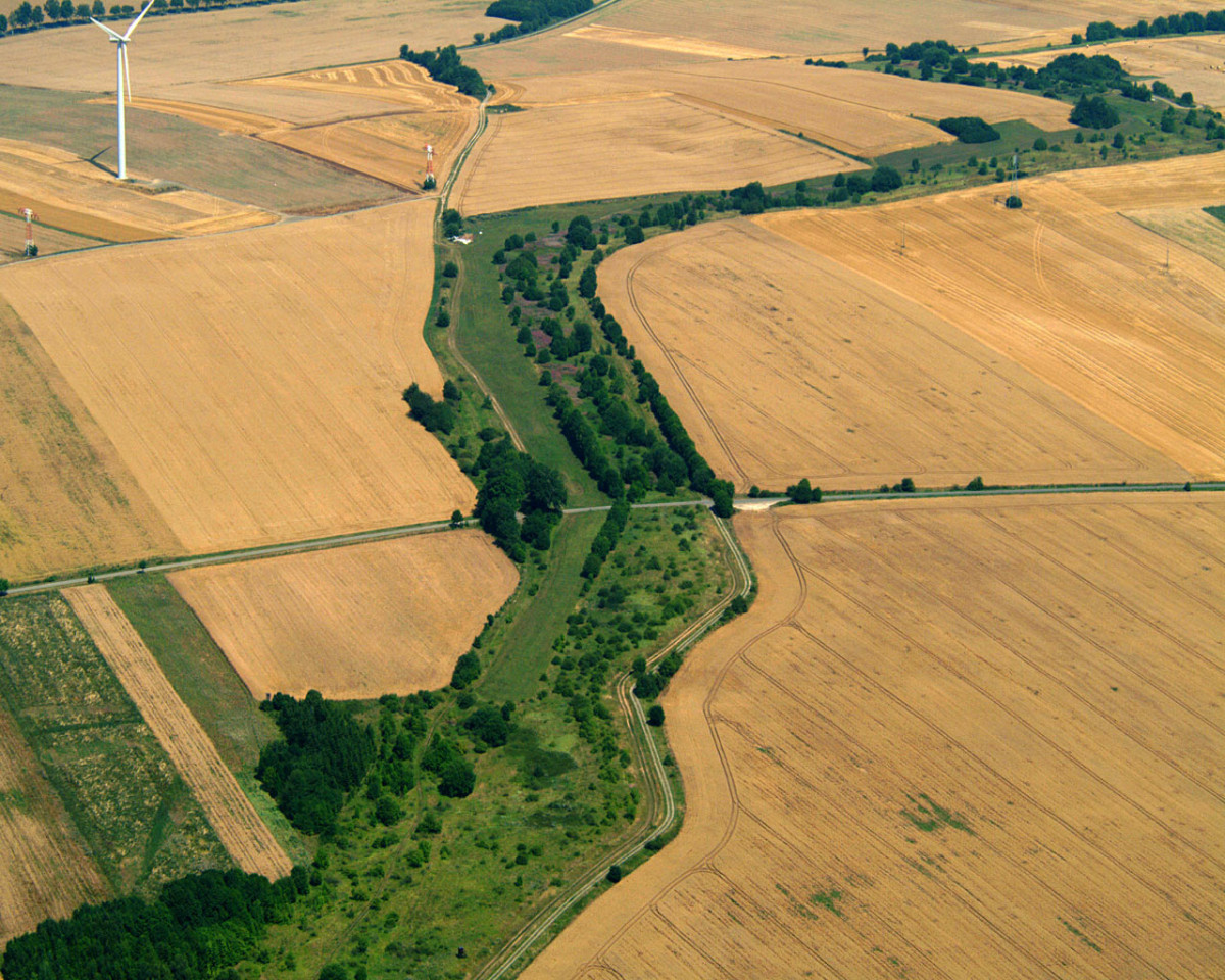 The "Green Belt" at the former inner-German border. Photo: BUND / Klaus Leidorf