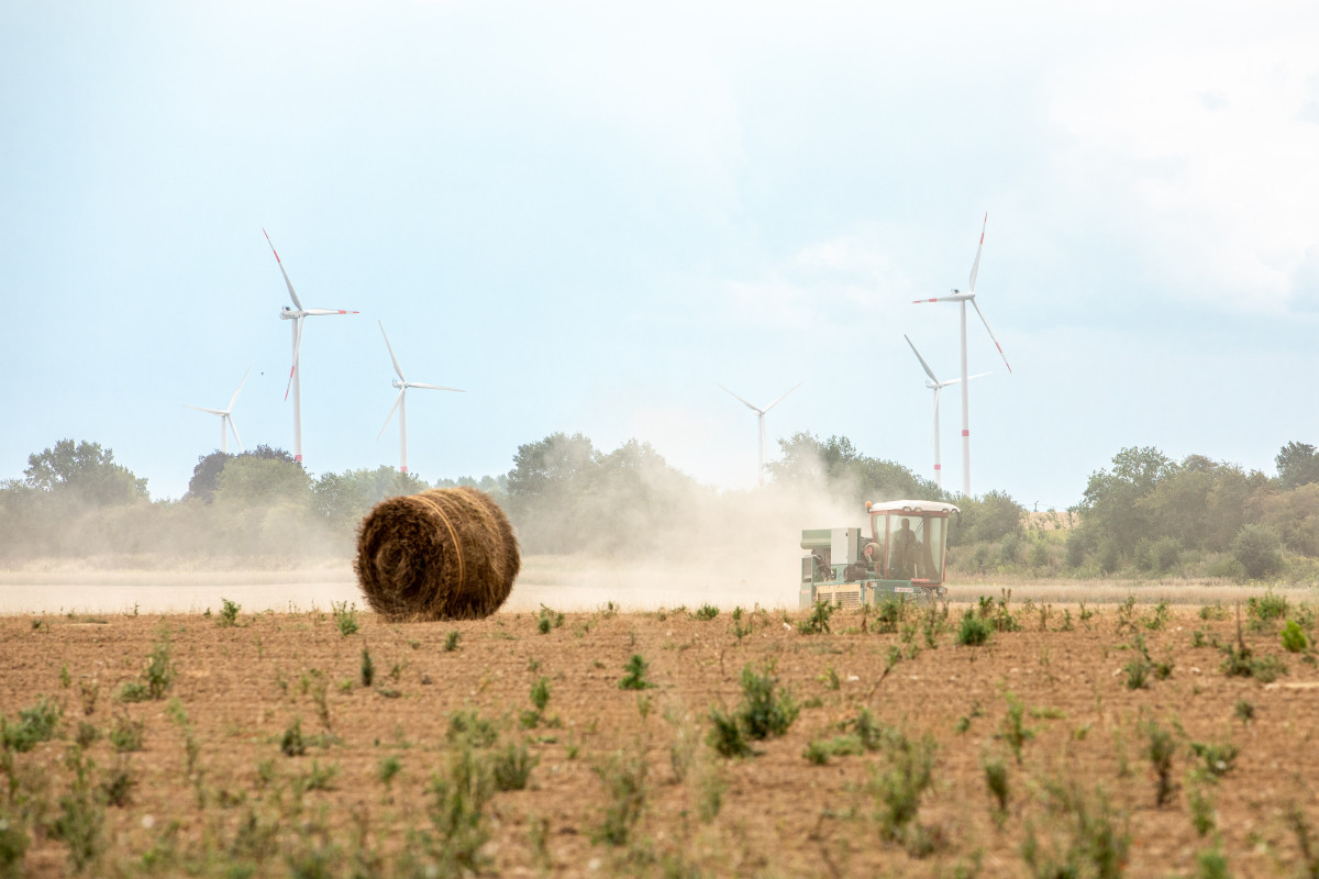 Photo shows a corn field shared with wind turbines in Belgium. Source: European Union. 