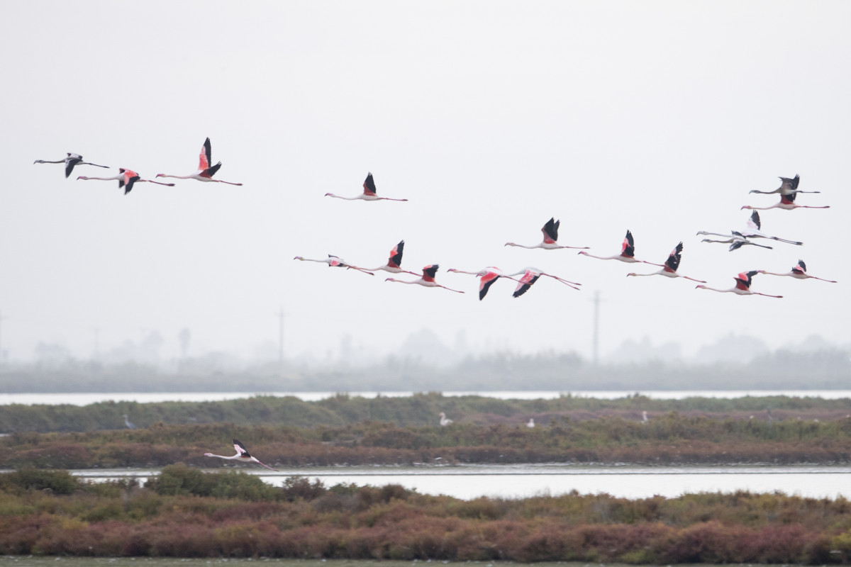Water resources need co-ordinated development and management between all users. Photo: European Union. Water resources need co-ordinated development and management between all users. Photo: European Union.