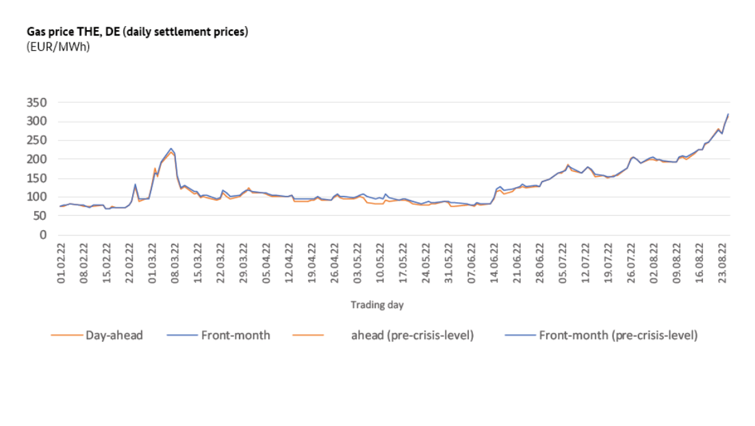 After a first spike following Russia's attack on Ukraine, gas prices have started to rise more steadily since June 2022. Source: BNetzA