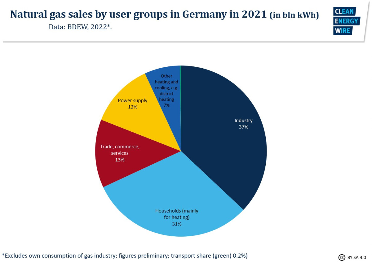 Graph shows Germany's gas sales by user group 2021. Graph: CLEW.
