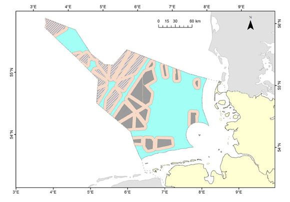 Total area needed for 40-50 GW offshore wind capacity in German North Sea; red area indicating habitat loss for sea bird species. Source: NABU